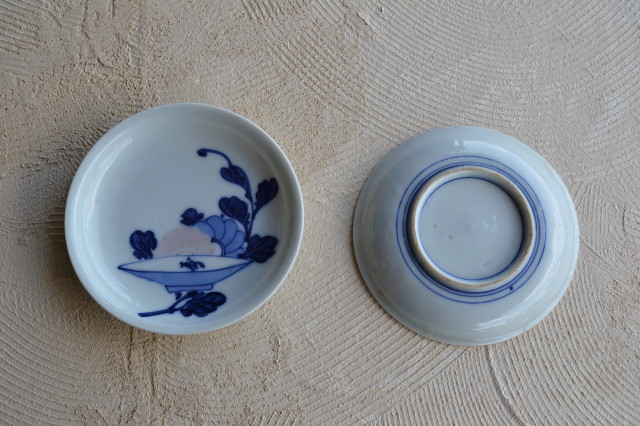 盃菊紋皿　和食器
