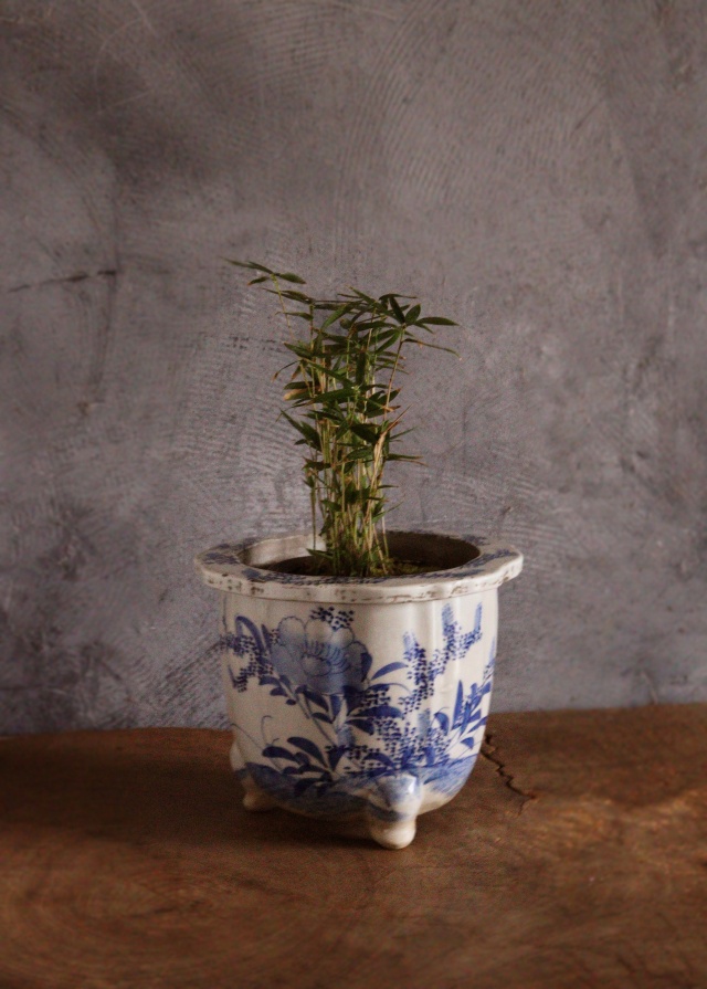 植木鉢　染付鉢　写し品　中古品 植木鉢 染付鉢 写し品 中古品