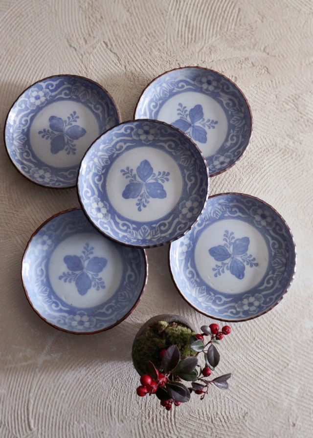 染付印判桐図16cmイゲ皿 5枚組 取り皿 盛皿 中皿 プレート イゲ皿