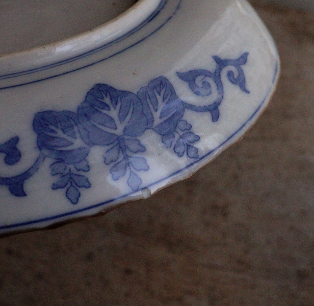 染付印判桐図16ｃｍイゲ皿　5枚組　　取り皿　盛皿　中皿　プレート　イゲ皿　アウトレット