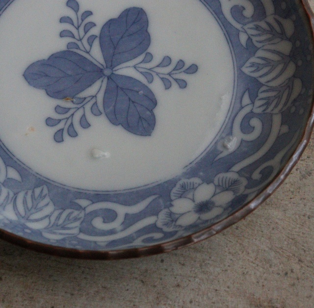 染付印判桐図16cmイゲ皿 5枚組 取り皿 盛皿 中皿 プレート イゲ皿