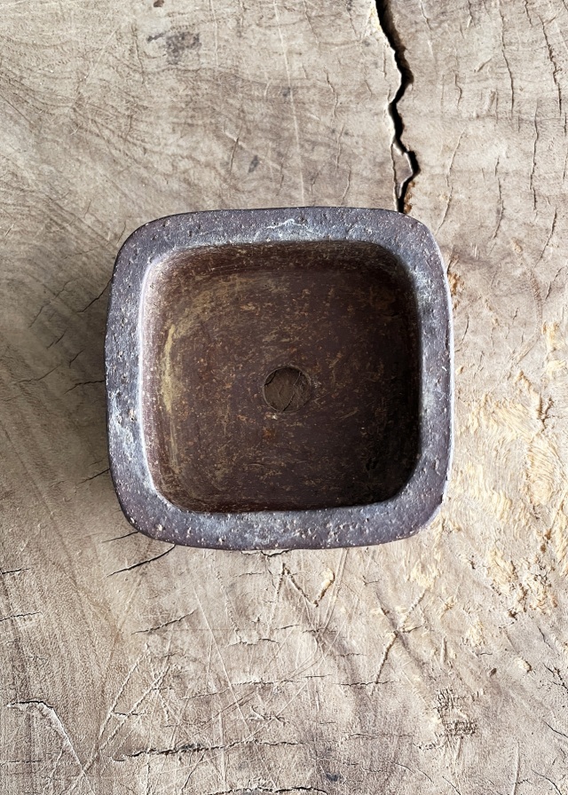 豆盆栽鉢　万古焼　春山作　小さな盆栽　盆栽鉢