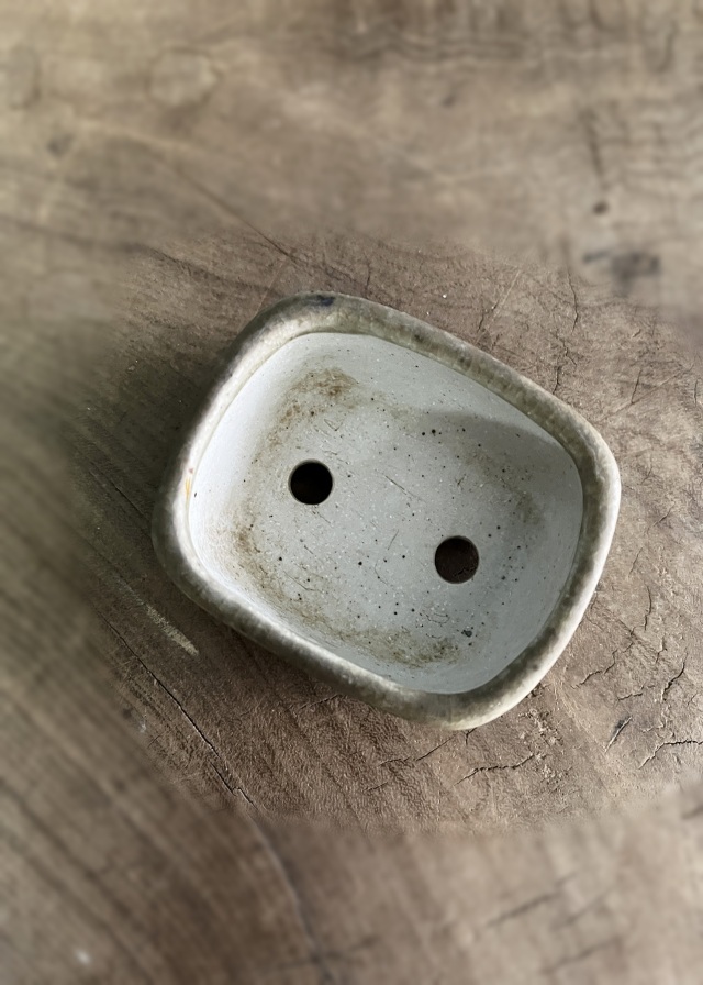 アンティークサムズコレクション姉妹店 古舫庵コレクション＞豆盆栽鉢