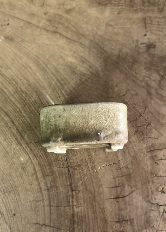 豆盆栽鉢　今岡町直作　