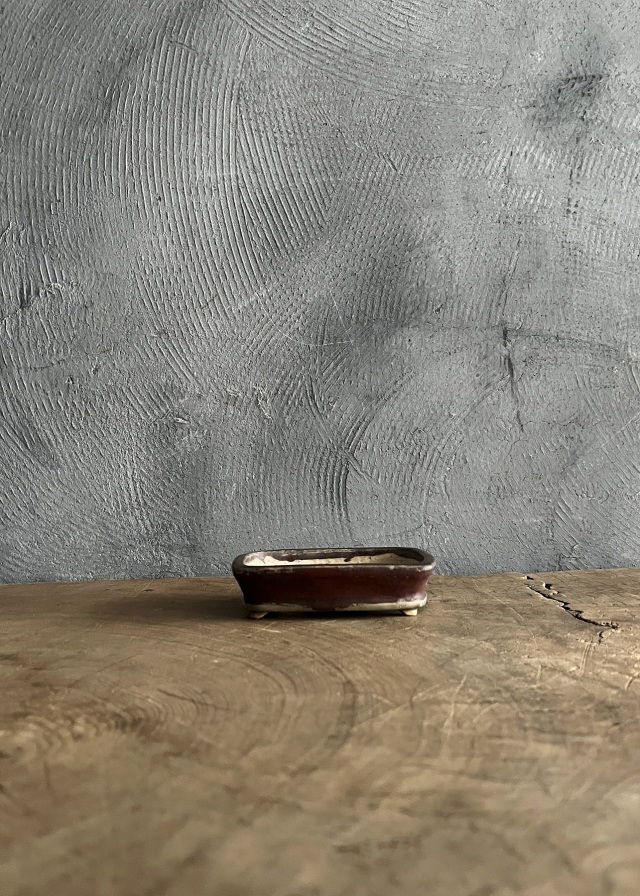 アンティークサムズコレクション姉妹店 古舫庵コレクション＞豆盆栽鉢