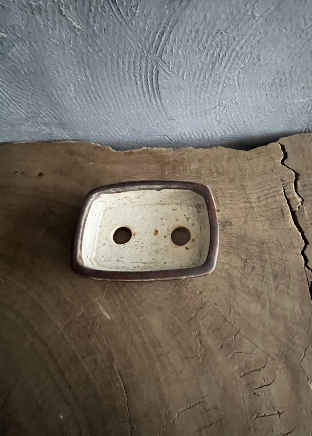 豆盆栽鉢　辰砂　今岡町直作